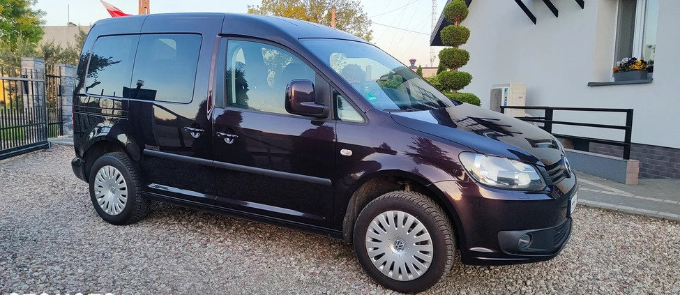 Volkswagen Caddy cena 39900 przebieg: 173000, rok produkcji 2012 z Tarnowskie Góry małe 704